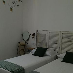 Superior Deluxe Double or Twin Room